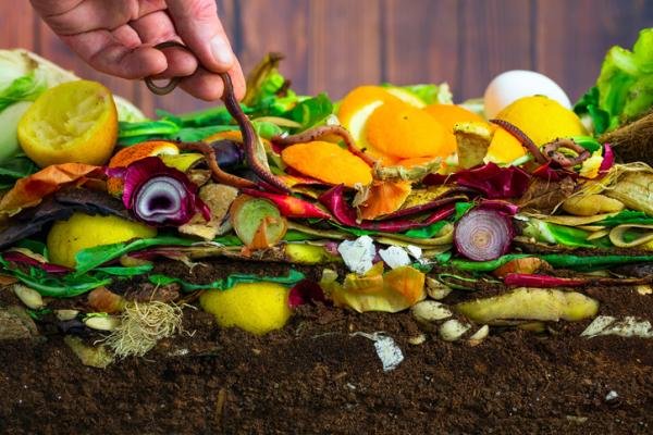 Restos de cocina como alimento de las lombrices
