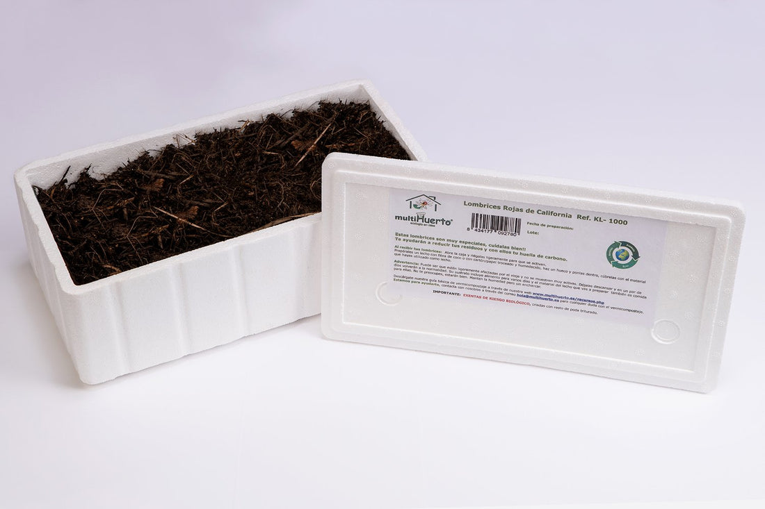 Caja abierta de 1000 lombrices rojas de California