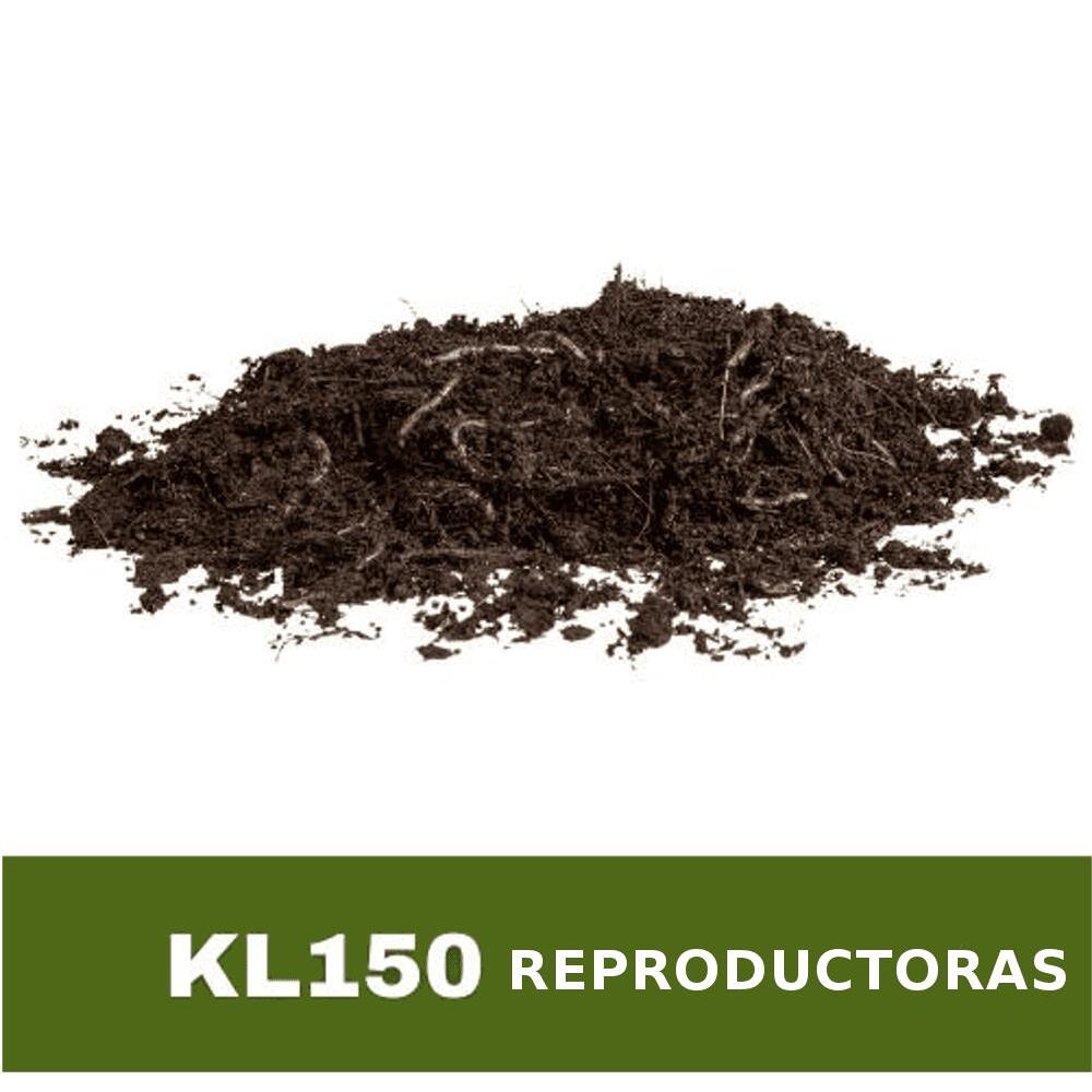 150 lombrices rojas californianas reproductoras, cliteladas