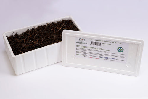 Caja de envío abierta con lombrices rojas, sustrato y alimento