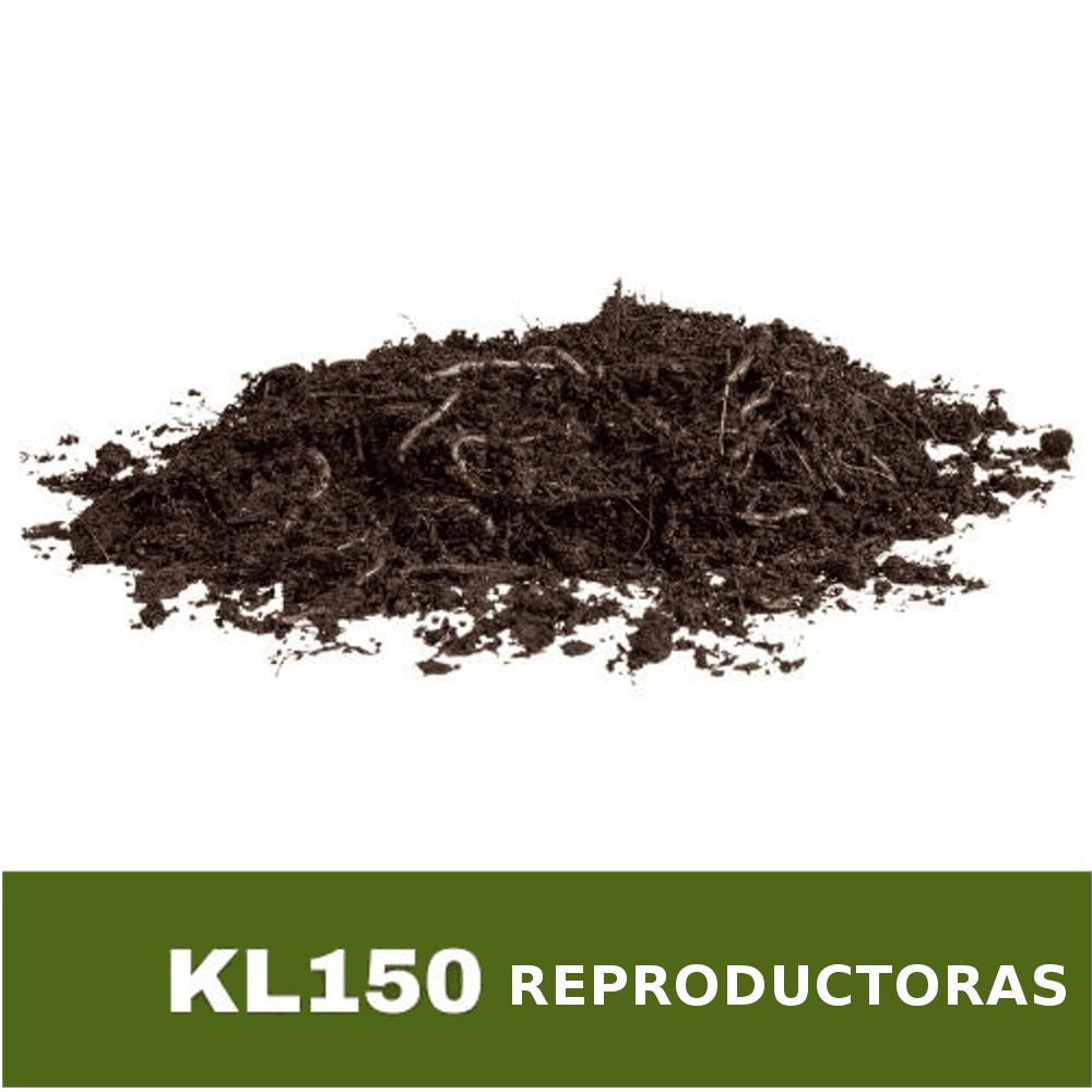 150 lombrices rojas californianas reproductoras, cliteladas